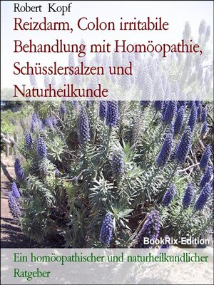 cover image of Reizdarm, Colon irritabile Behandlung mit Homöopathie, Schüsslersalzen und Naturheilkunde